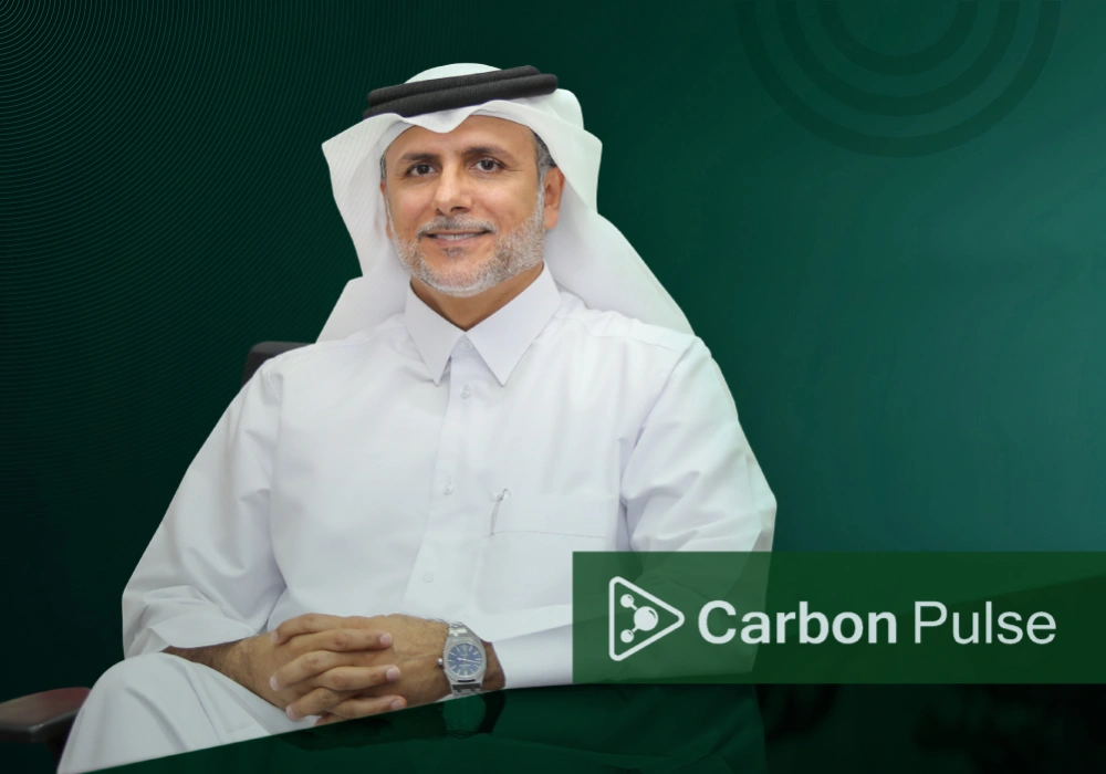 Carbon Pulse exclusive Interview
