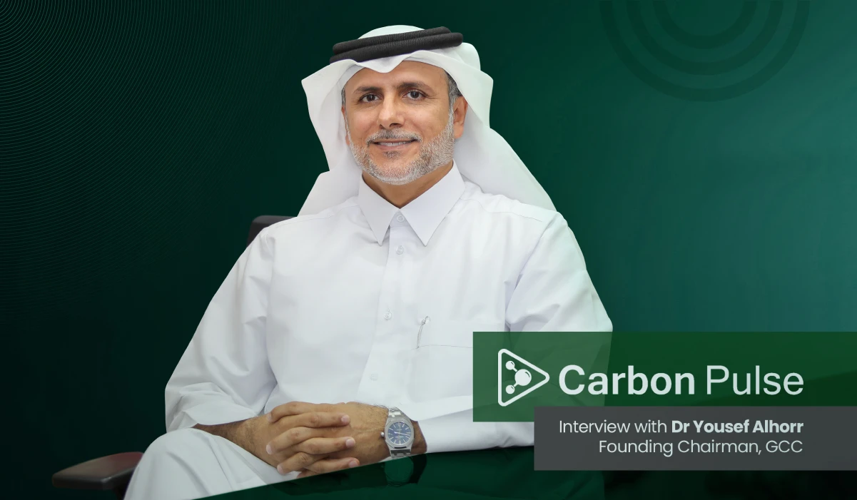 Carbon Pulse exclusive Interview