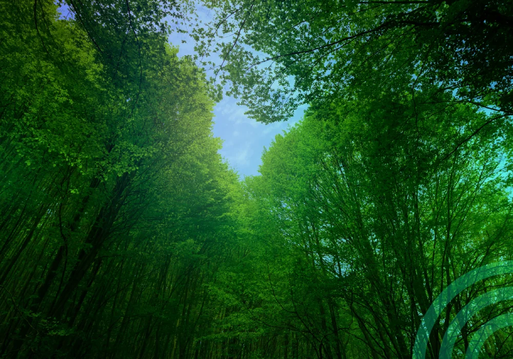 CTI Certification Co., Ltd. re-approved as a GCC VVB