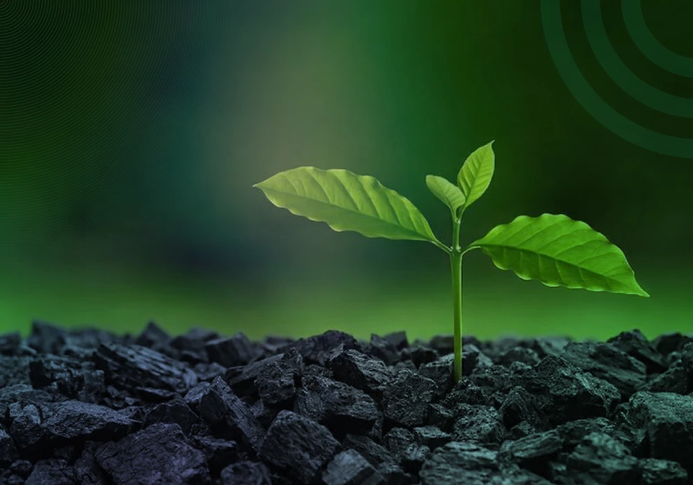 GCC Opens Public Stakeholder Consultation on Draft Methodology for Durable Biochar Production