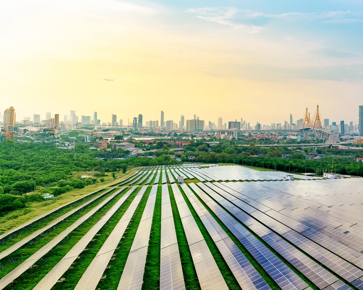 GCC Newsletter issue 3